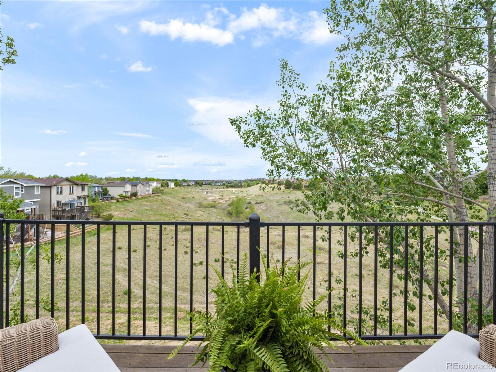 MLS Image #22 for 3360  ashworth avenue,highlands ranch, Colorado