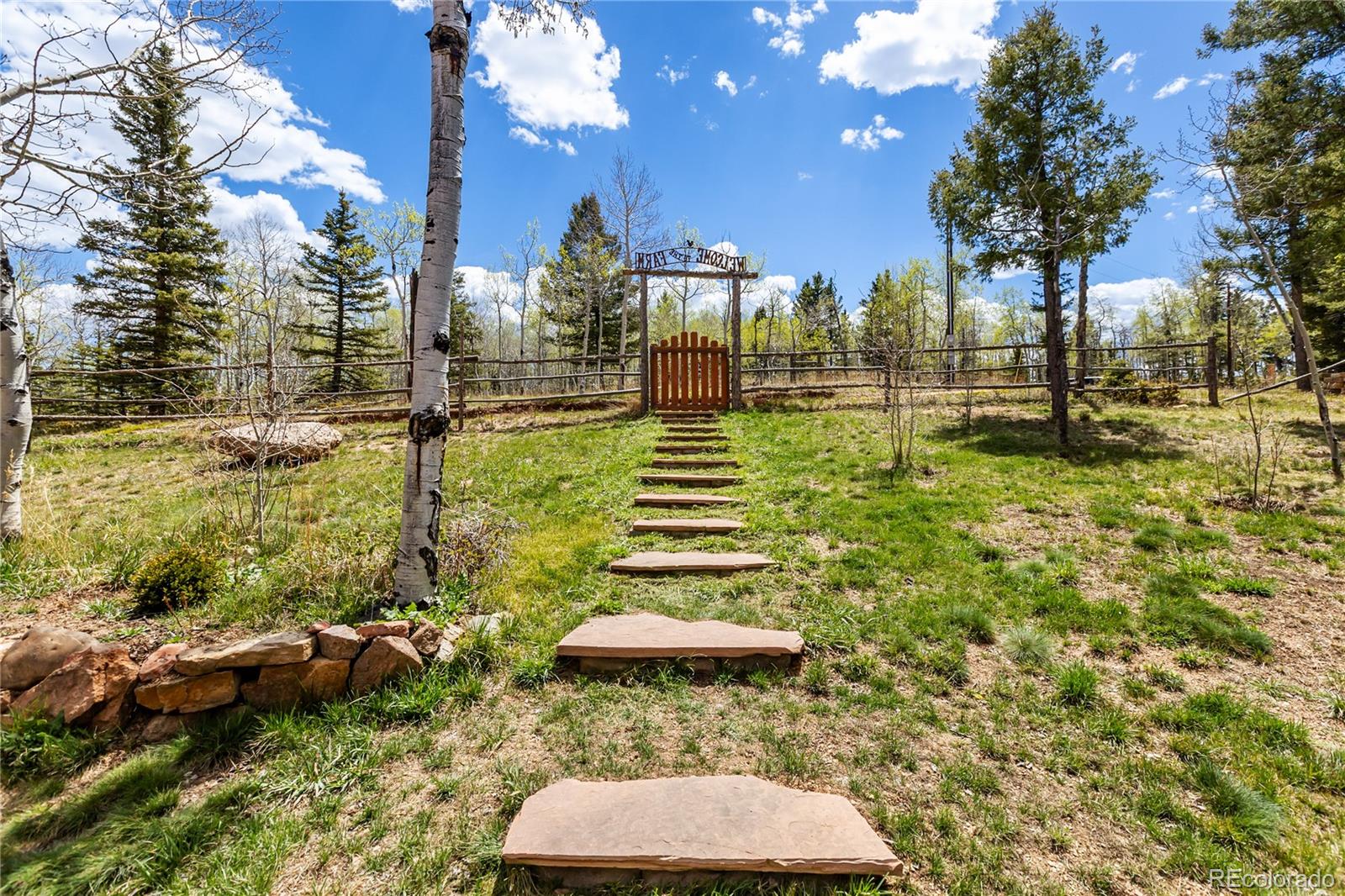 MLS Image #2 for 153  moss rock court,divide, Colorado