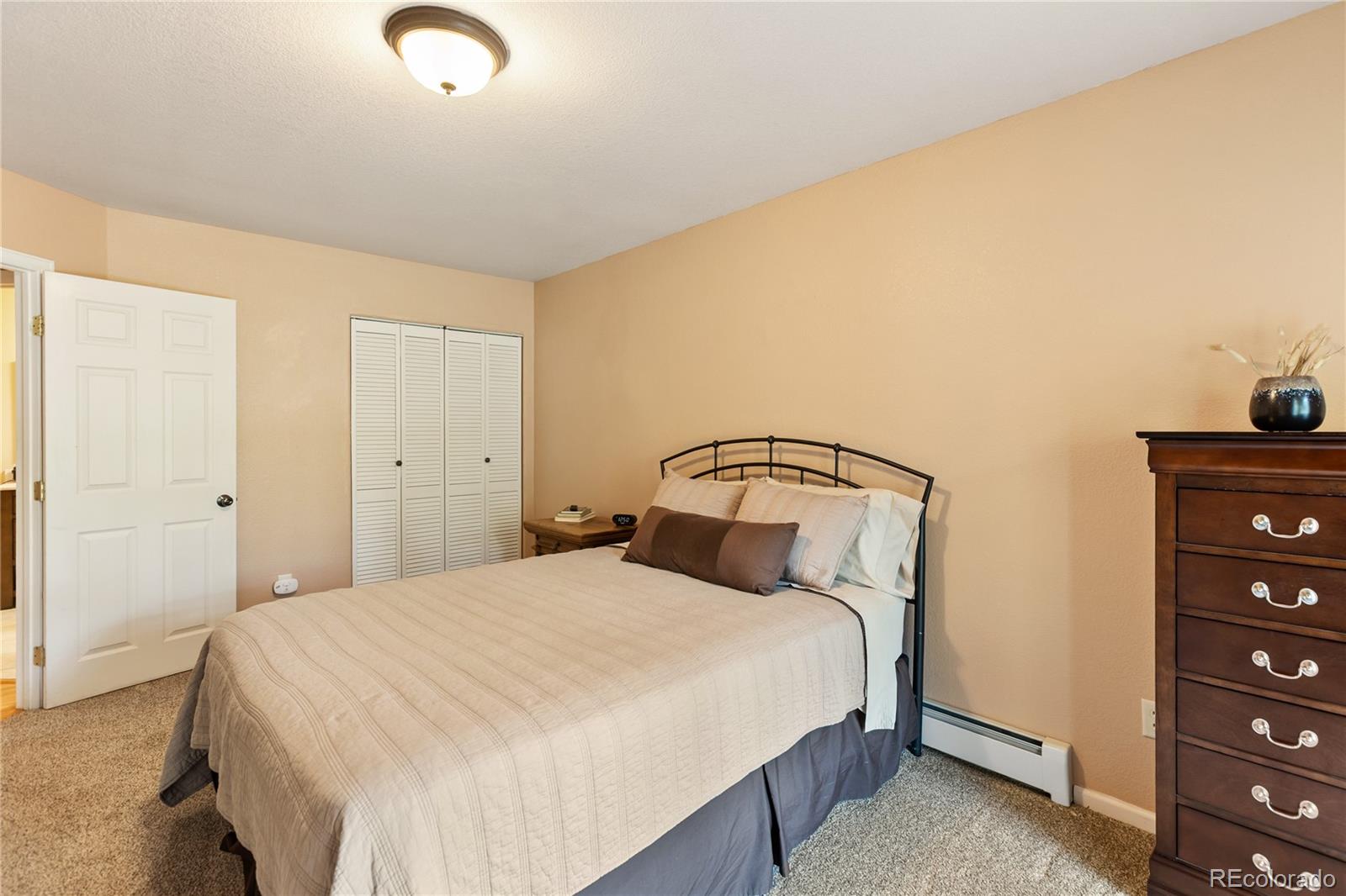 MLS Image #25 for 153  moss rock court,divide, Colorado