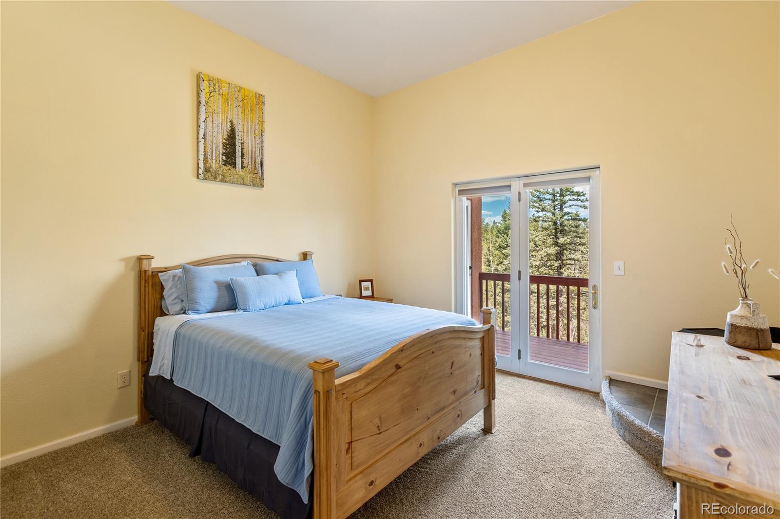 MLS Image #29 for 153  moss rock court,divide, Colorado