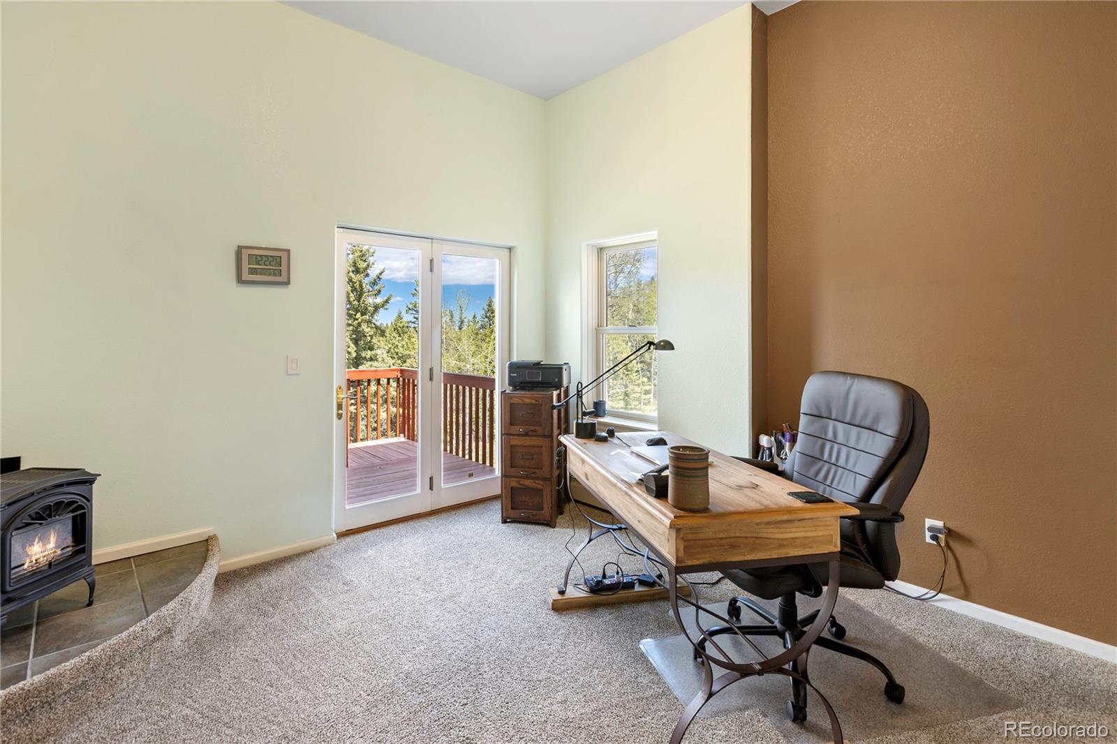 MLS Image #30 for 153  moss rock court,divide, Colorado