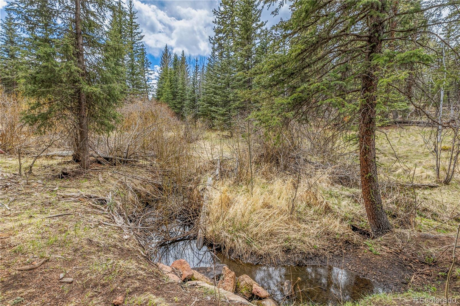 MLS Image #36 for 153  moss rock court,divide, Colorado