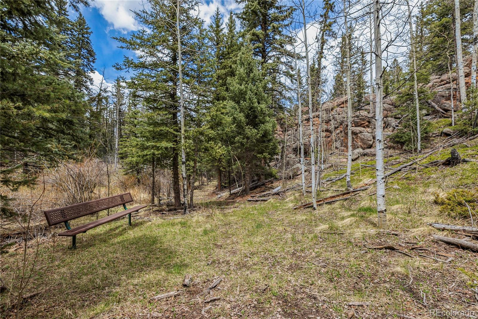 MLS Image #4 for 153  moss rock court,divide, Colorado
