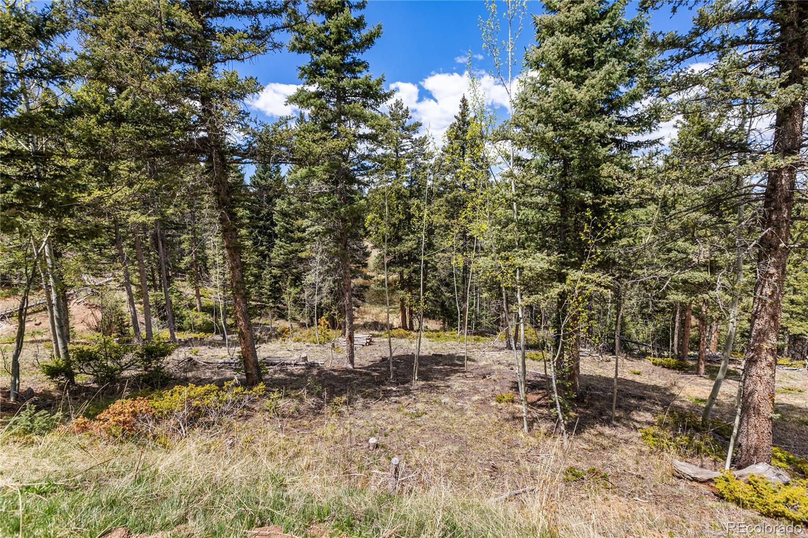 MLS Image #5 for 153  moss rock court,divide, Colorado
