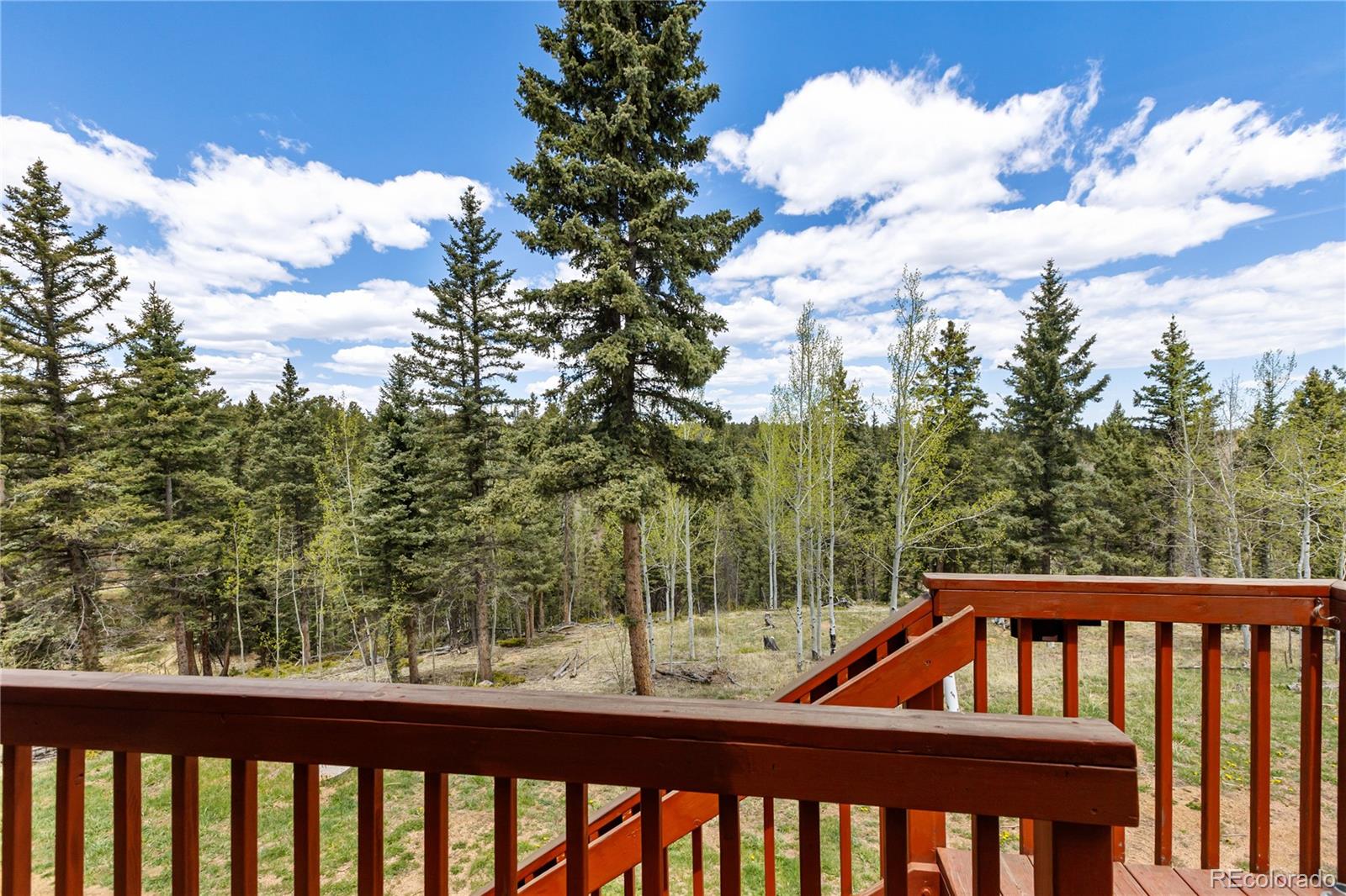 MLS Image #6 for 153  moss rock court,divide, Colorado