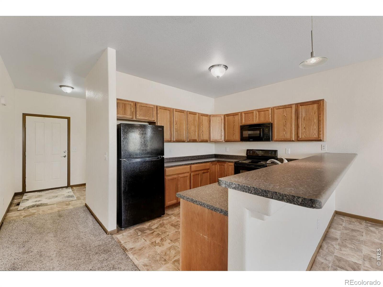 MLS Image #18 for 369  naples street,firestone, Colorado