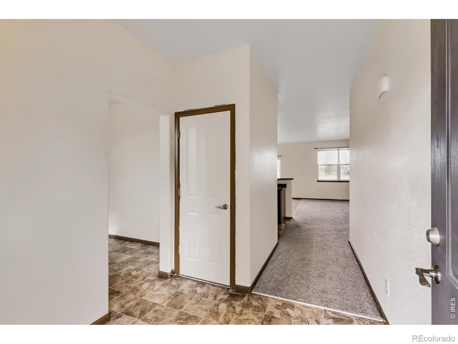MLS Image #19 for 369  naples street,firestone, Colorado