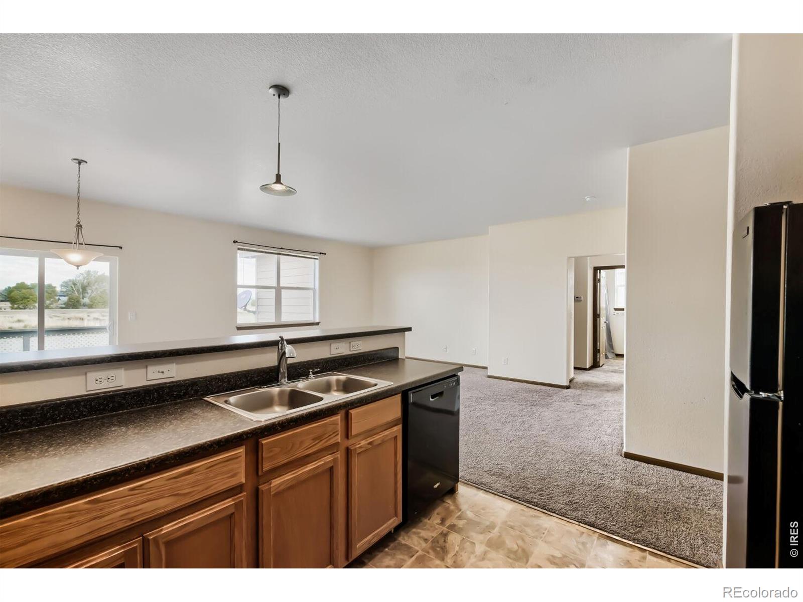 MLS Image #3 for 369  naples street,firestone, Colorado