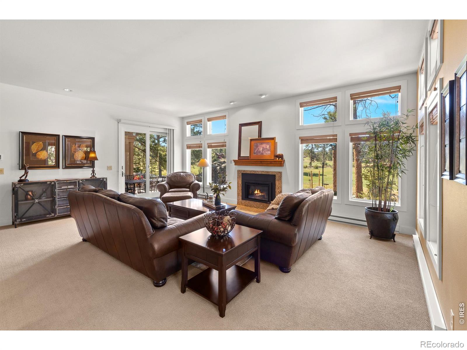 MLS Image #16 for 118  ponderosa court,red feather lakes, Colorado