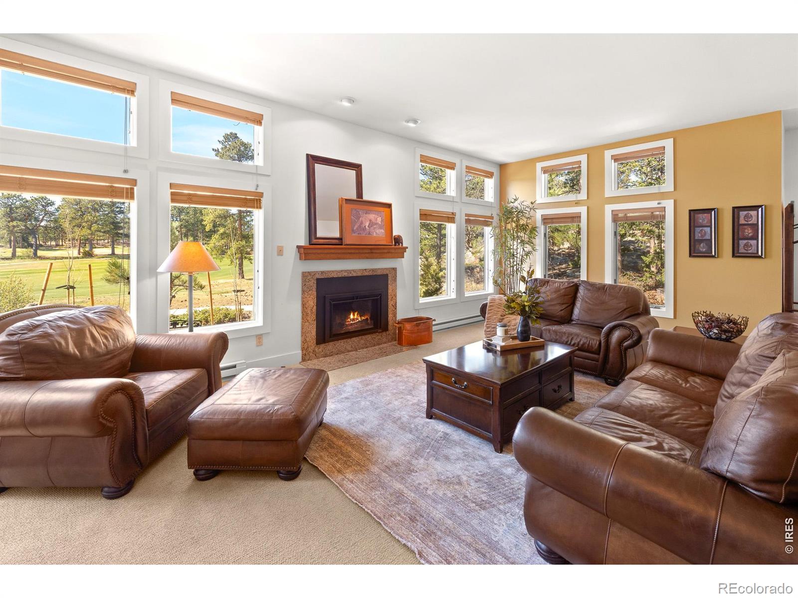 MLS Image #17 for 118  ponderosa court,red feather lakes, Colorado