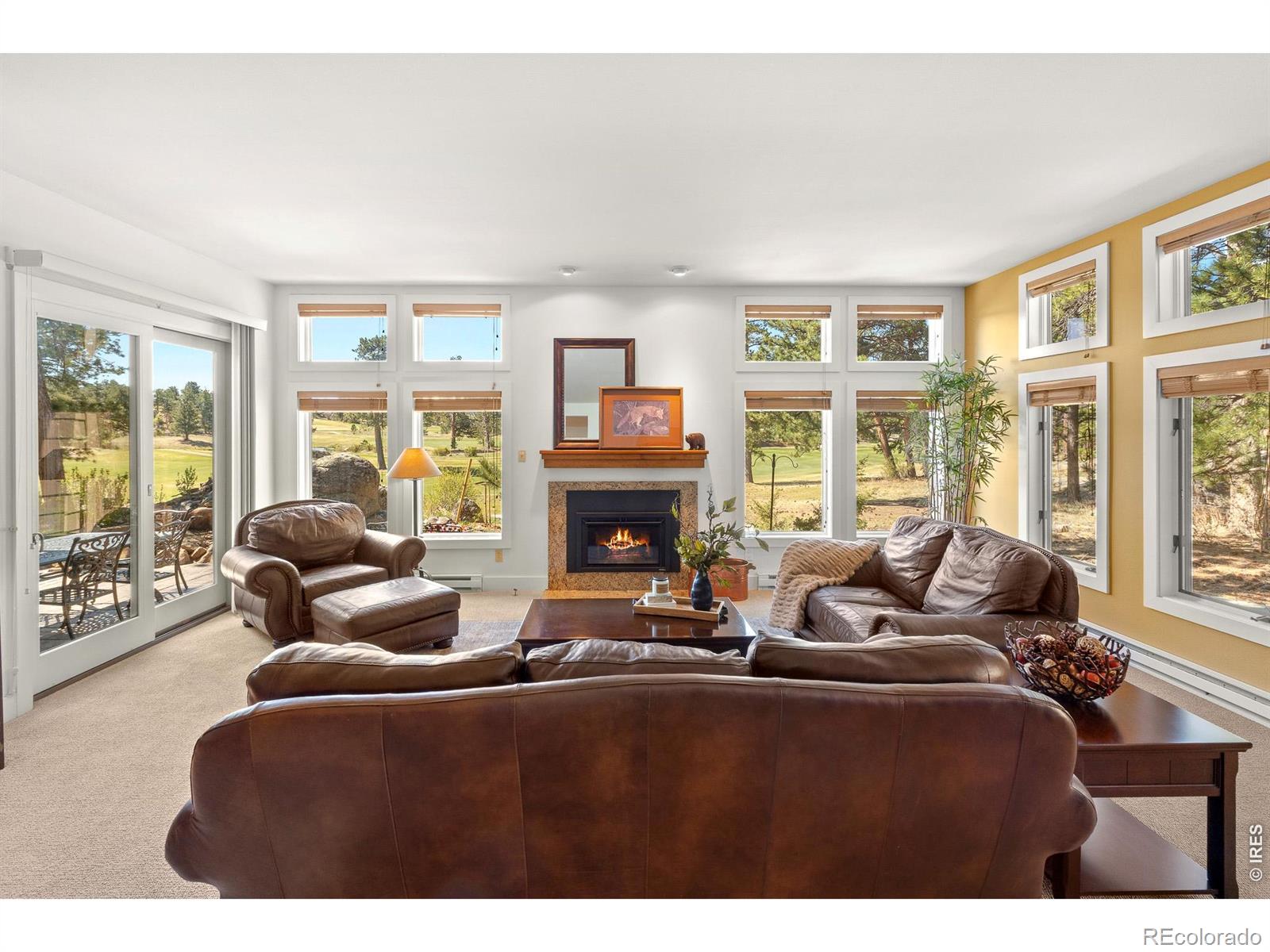 MLS Image #18 for 118  ponderosa court,red feather lakes, Colorado