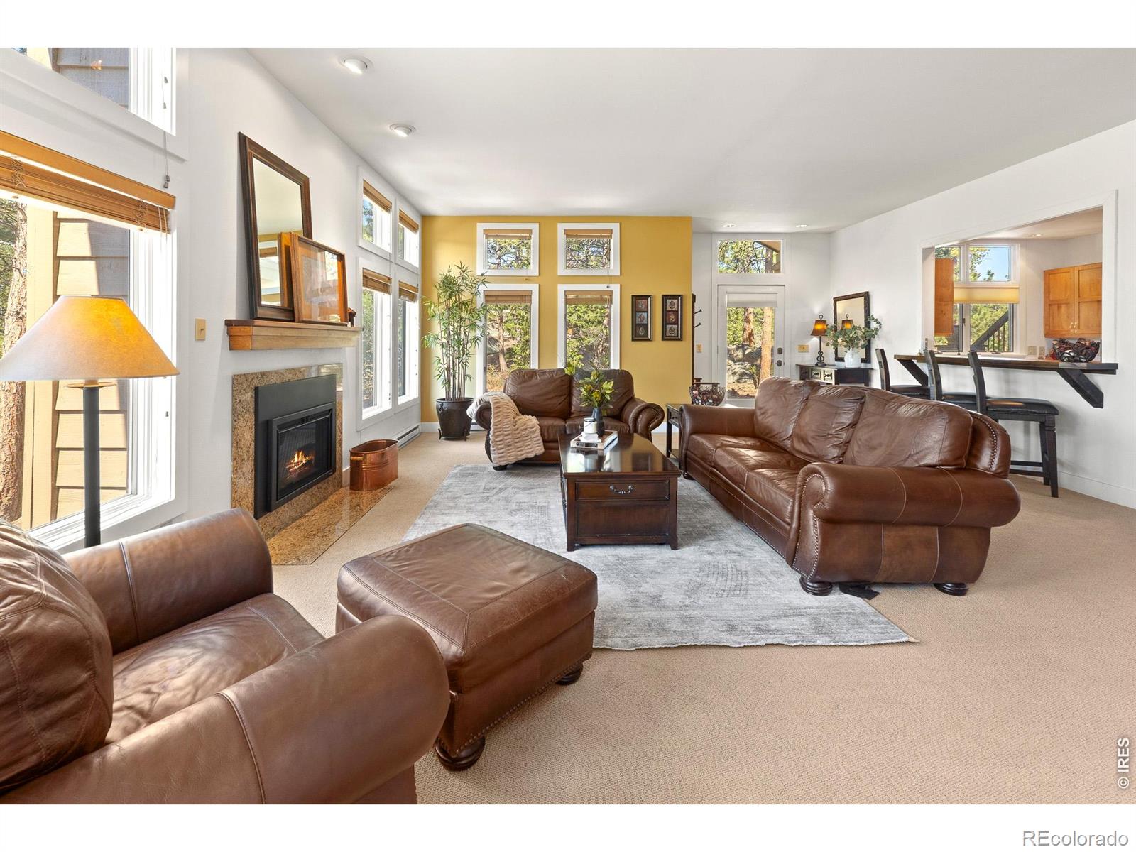 MLS Image #19 for 118  ponderosa court,red feather lakes, Colorado