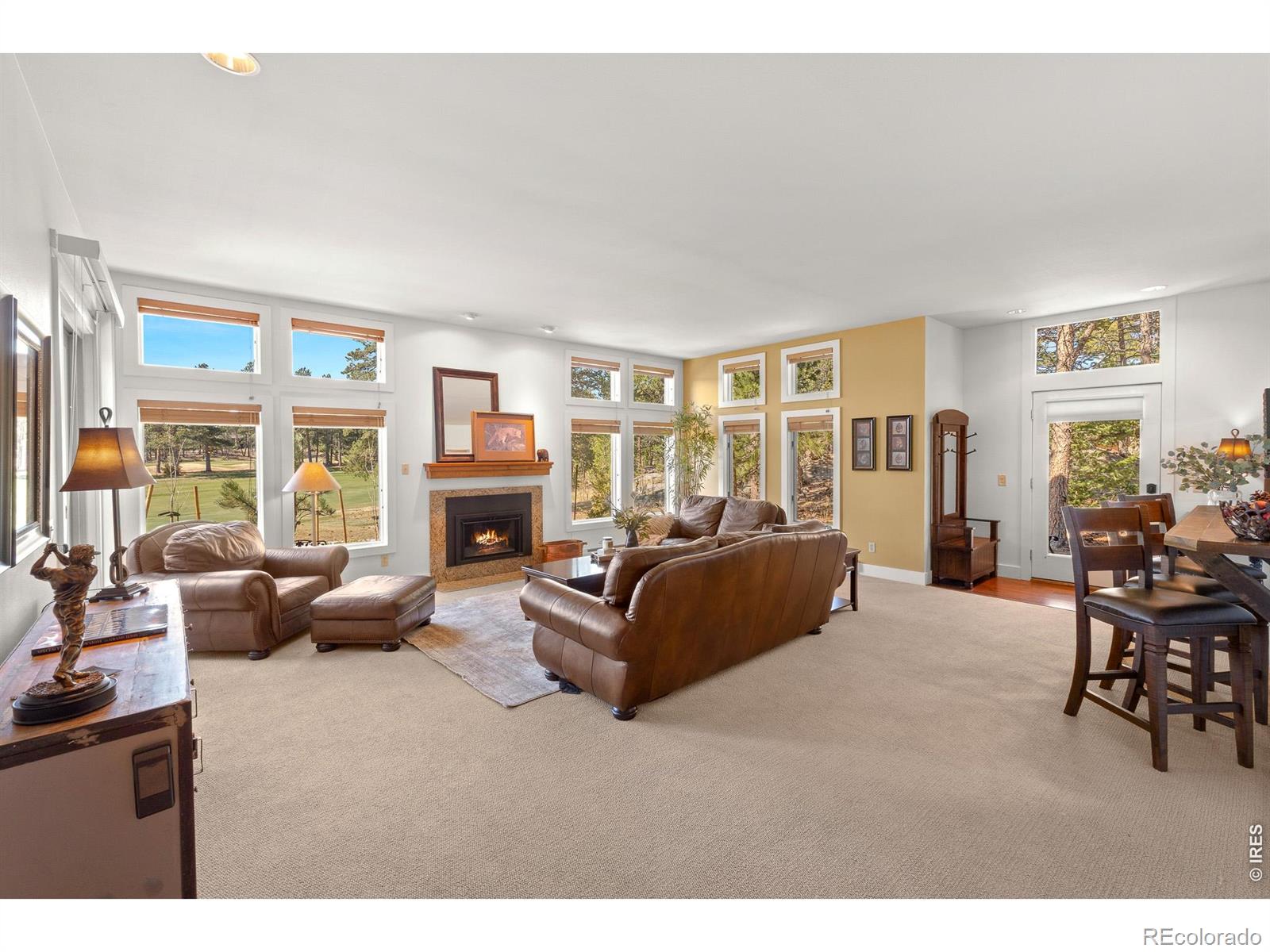 MLS Image #20 for 118  ponderosa court,red feather lakes, Colorado