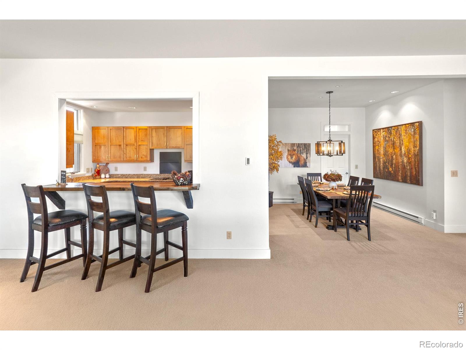 MLS Image #23 for 118  ponderosa court,red feather lakes, Colorado