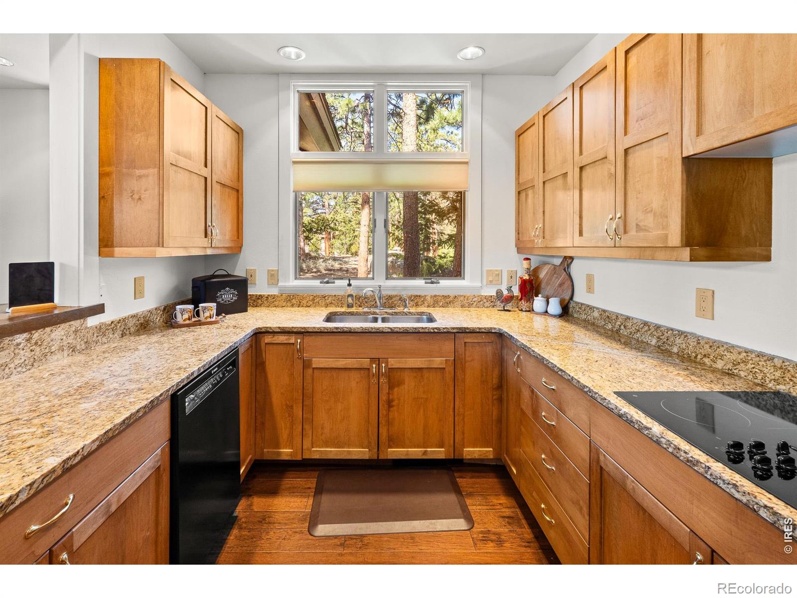 MLS Image #26 for 118  ponderosa court,red feather lakes, Colorado
