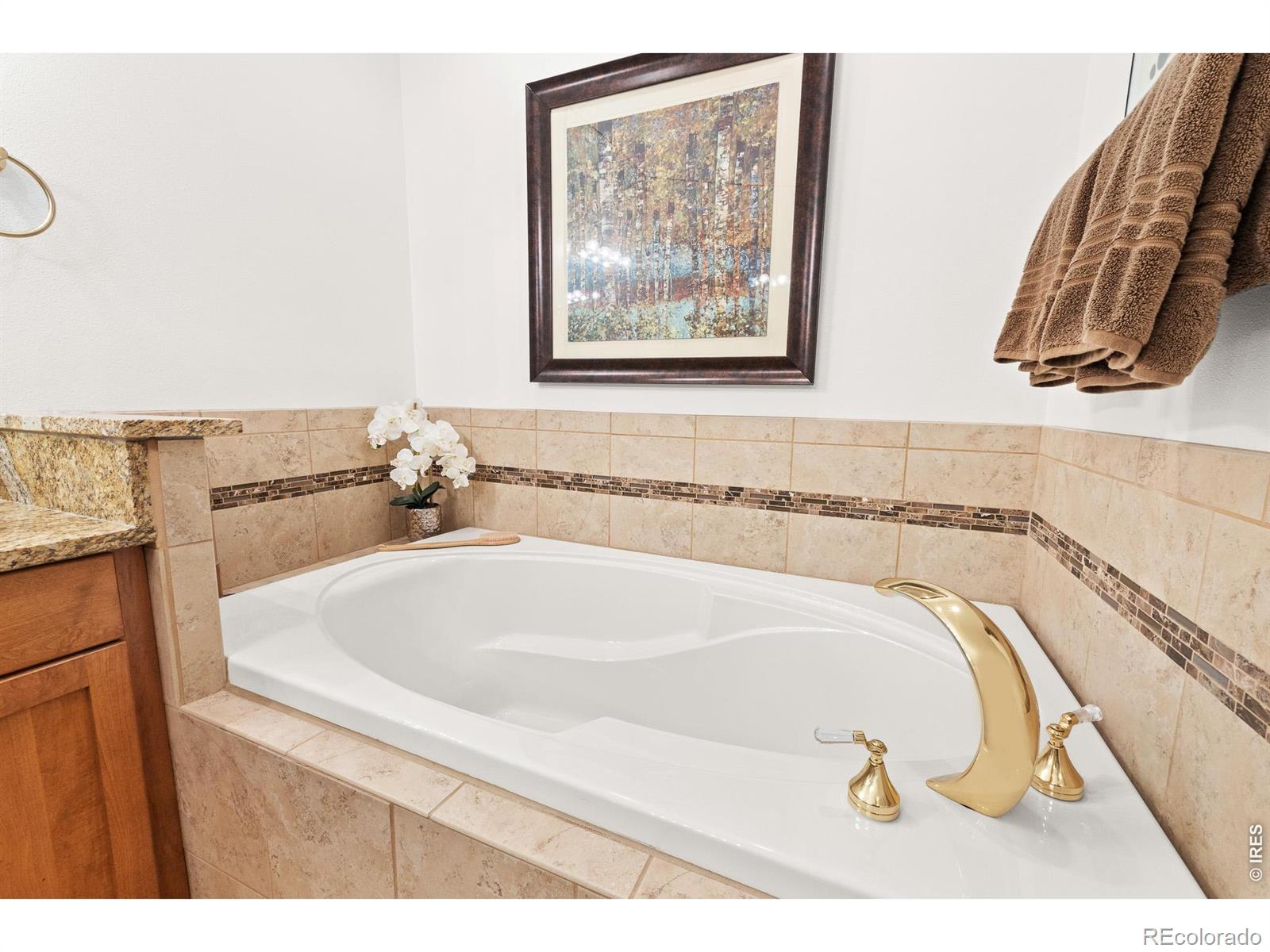 MLS Image #35 for 118  ponderosa court,red feather lakes, Colorado