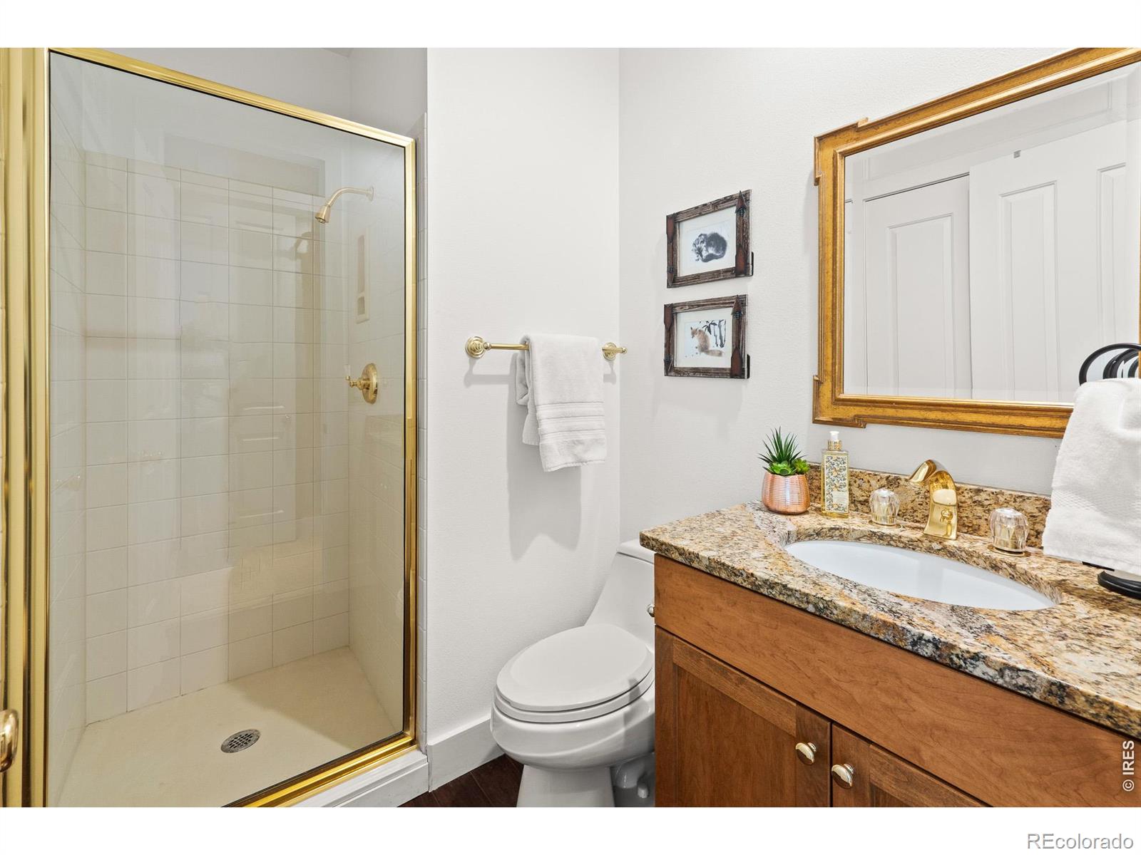 MLS Image #38 for 118  ponderosa court,red feather lakes, Colorado