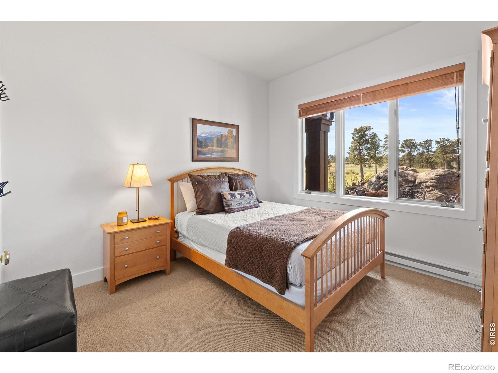 MLS Image #40 for 118  ponderosa court,red feather lakes, Colorado