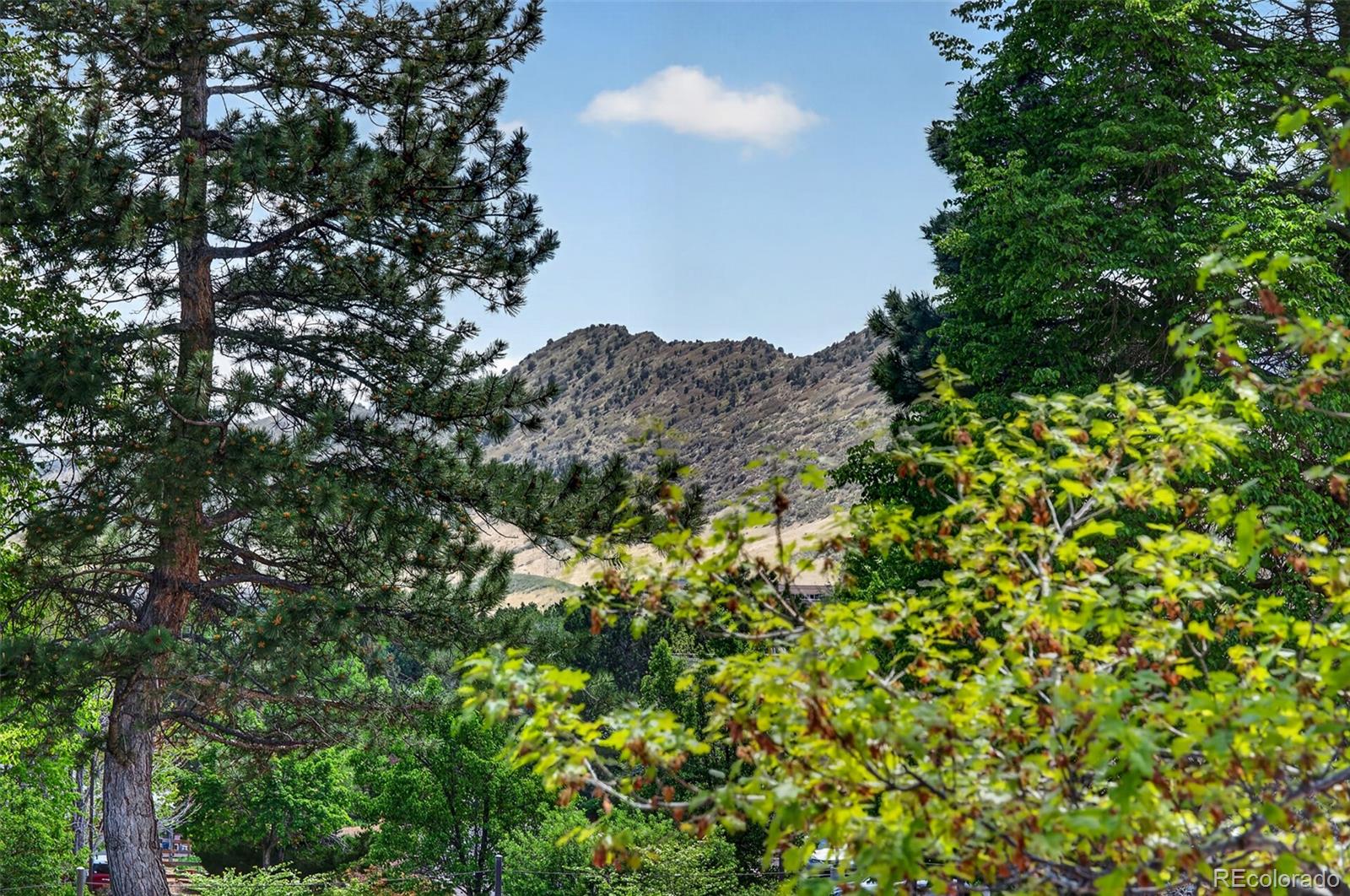 MLS Image #17 for 8093 s vermejo peak ,littleton, Colorado