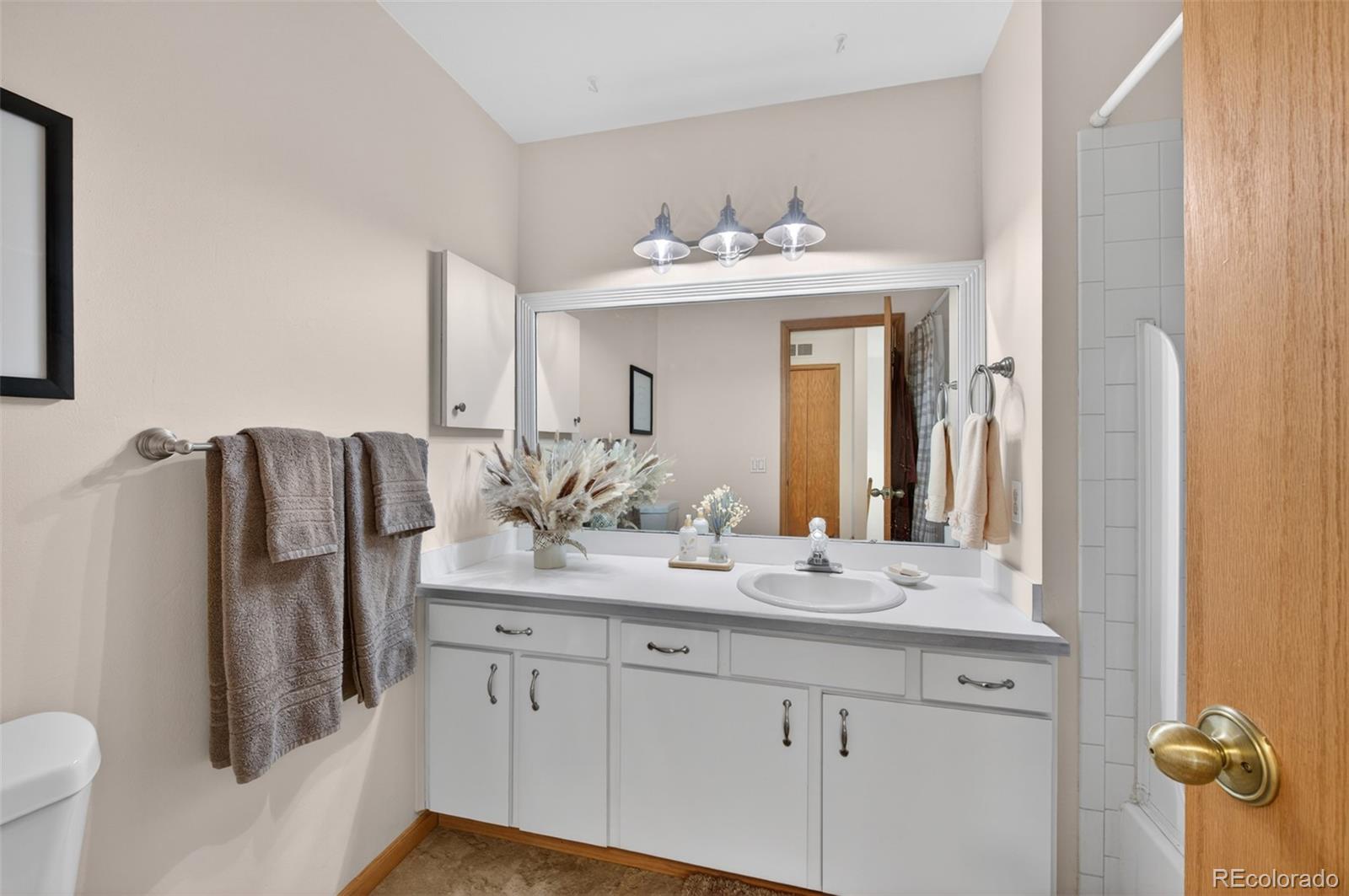 MLS Image #37 for 8093 s vermejo peak ,littleton, Colorado