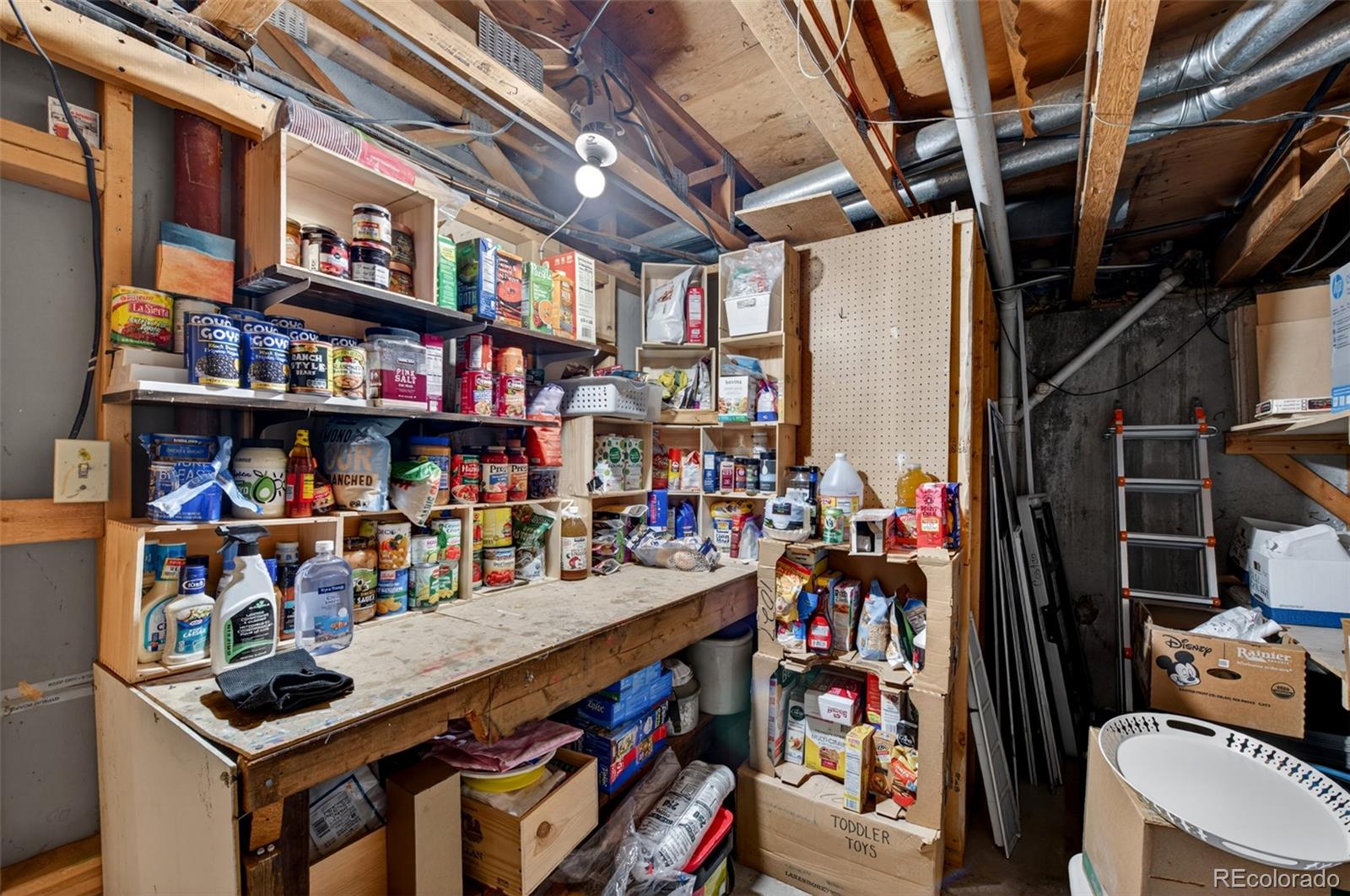 MLS Image #43 for 8093 s vermejo peak ,littleton, Colorado