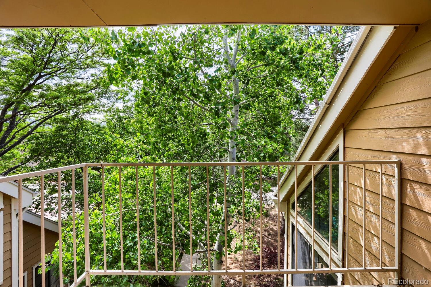 MLS Image #21 for 5924  gunbarrel avenue,boulder, Colorado