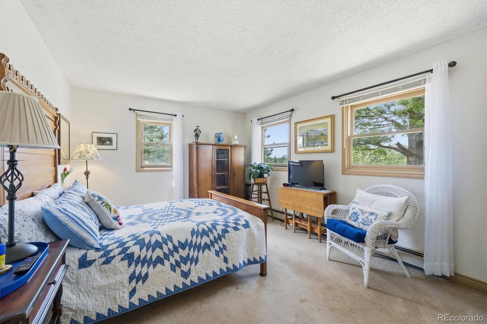 MLS Image #17 for 2219  meadow green circle,franktown, Colorado