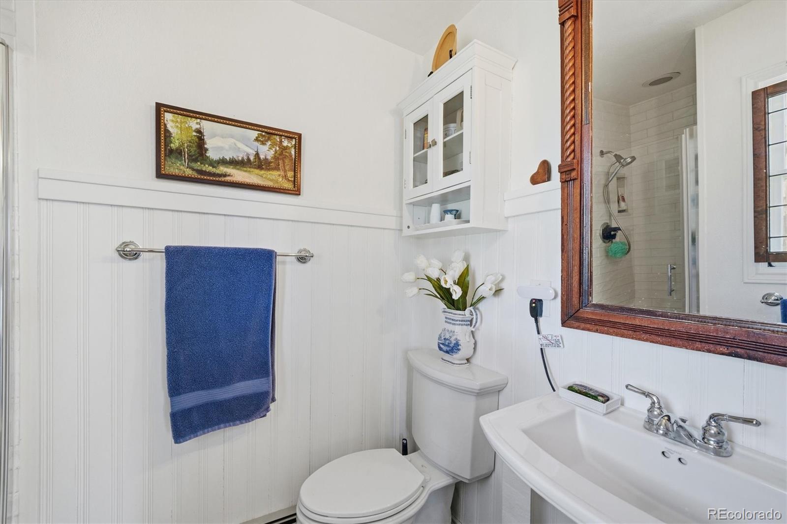 MLS Image #19 for 2219  meadow green circle,franktown, Colorado