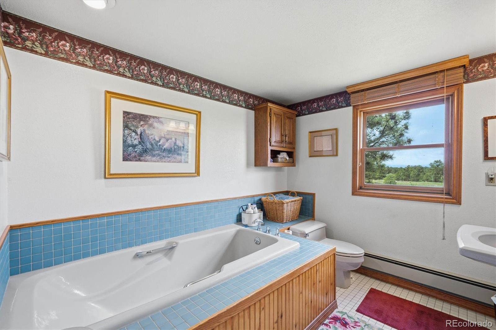 MLS Image #24 for 2219  meadow green circle,franktown, Colorado