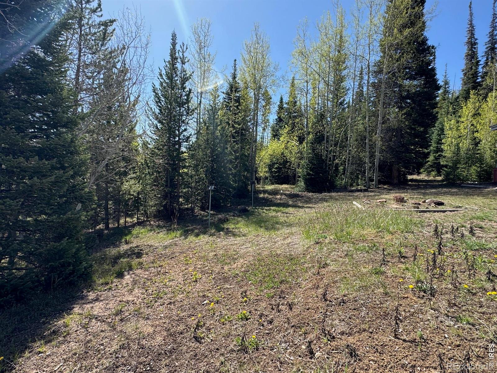 MLS Image #21 for 44  alpine lane,walden, Colorado