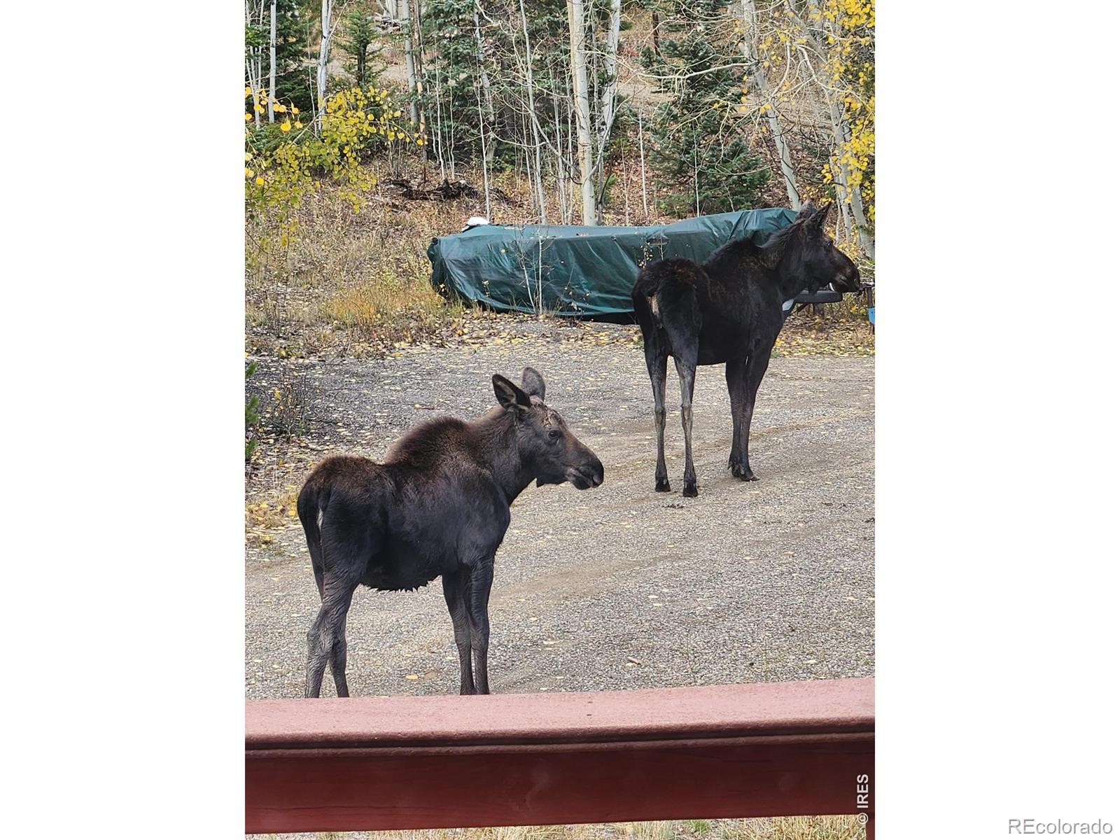 MLS Image #22 for 44  alpine lane,walden, Colorado