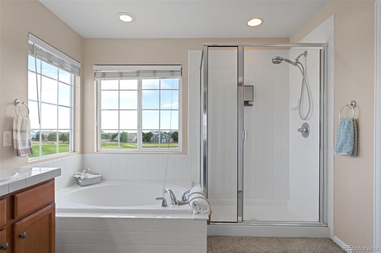 MLS Image #24 for 8740  royal melbourne circle,peyton, Colorado