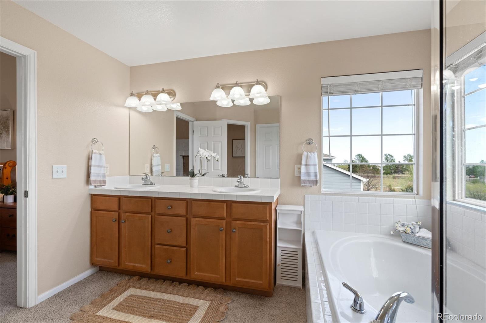MLS Image #26 for 8740  royal melbourne circle,peyton, Colorado