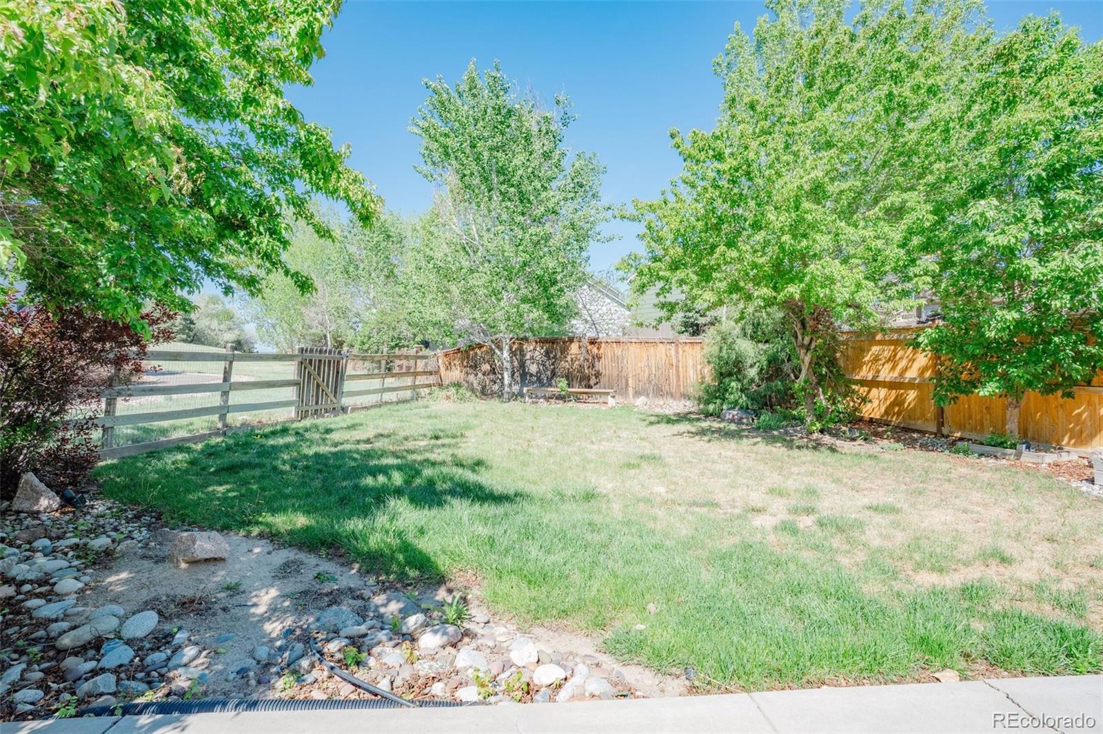 MLS Image #20 for 3536  morning glory drive,castle rock, Colorado