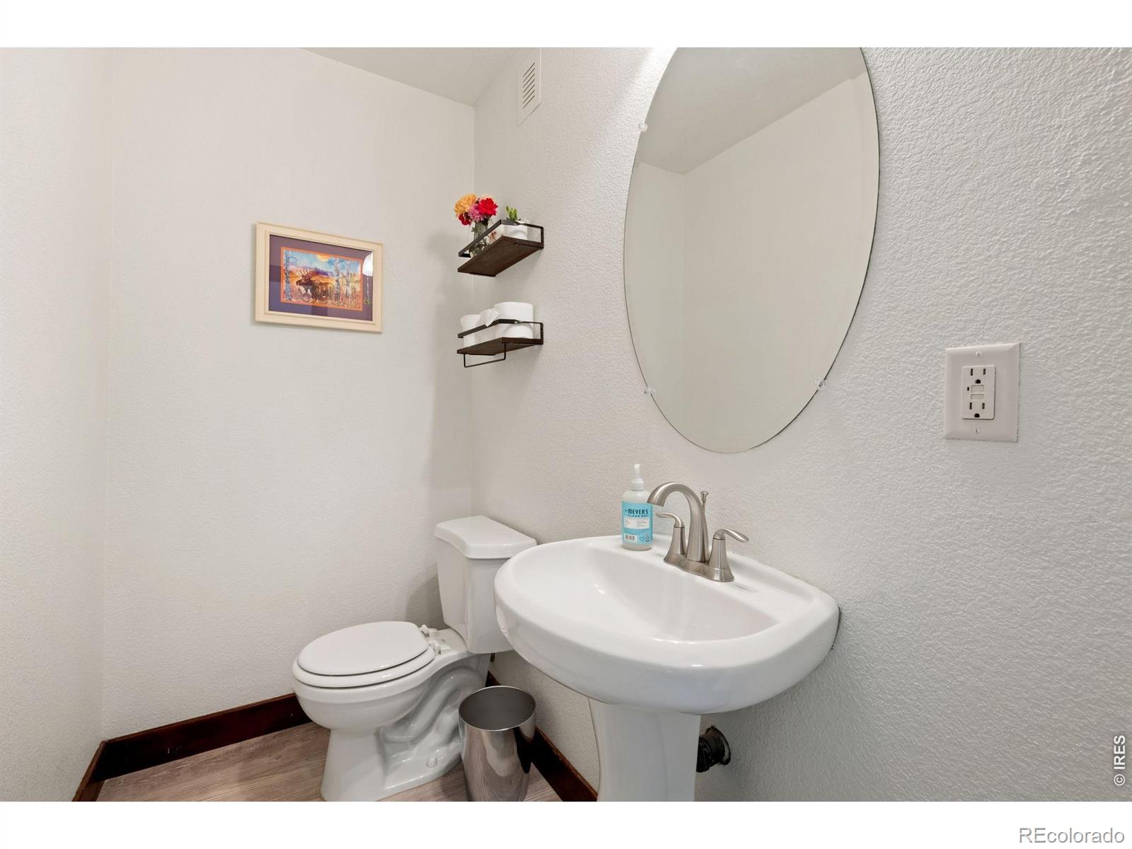 MLS Image #10 for 875  mount massive street,berthoud, Colorado