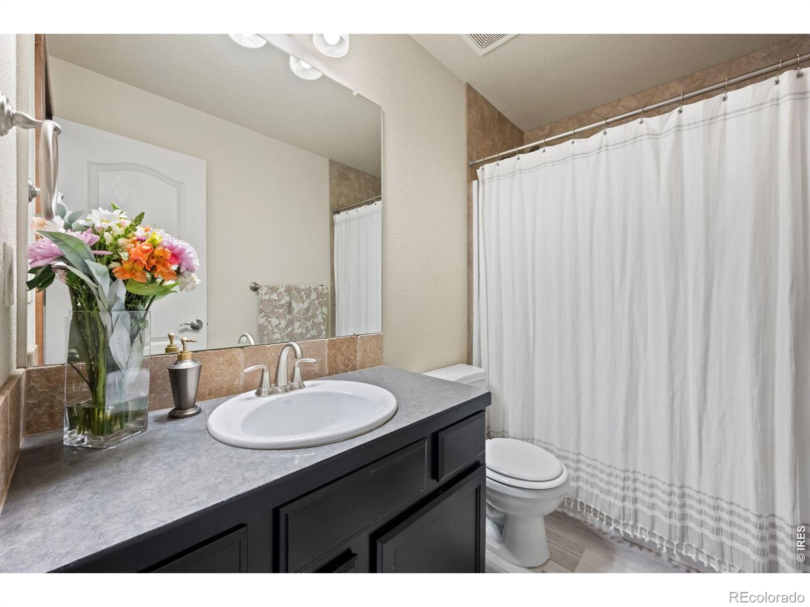 MLS Image #15 for 875  mount massive street,berthoud, Colorado