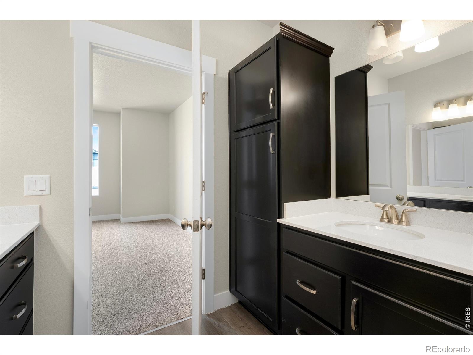 MLS Image #13 for 6793  maple leaf drive,timnath, Colorado