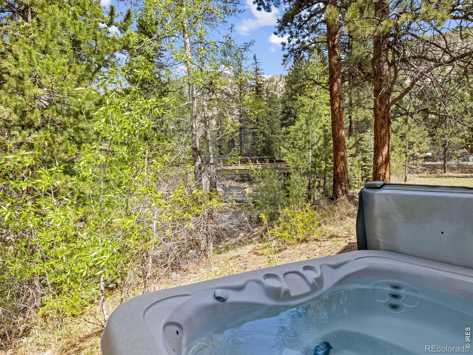 MLS Image #6 for 1340  fall river drive,estes park, Colorado