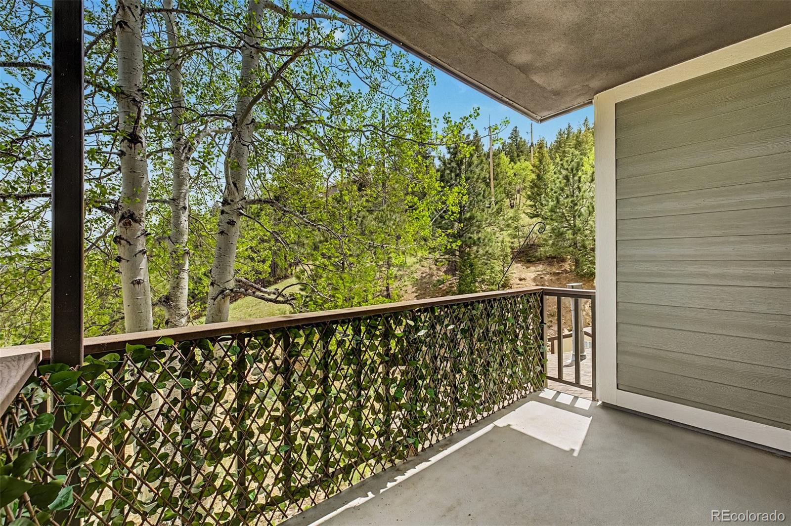MLS Image #12 for 31270  john wallace road,evergreen, Colorado
