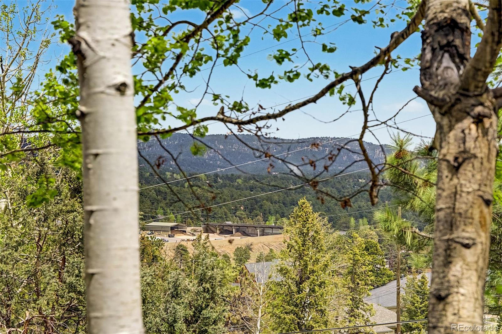 MLS Image #13 for 31270  john wallace road,evergreen, Colorado