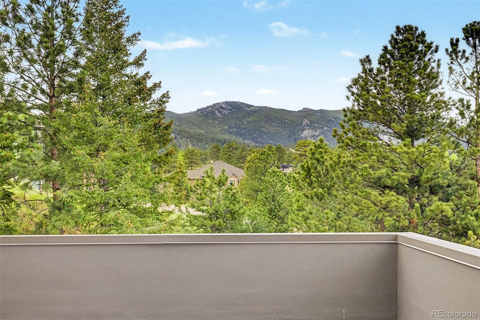 MLS Image #37 for 31270  john wallace road,evergreen, Colorado
