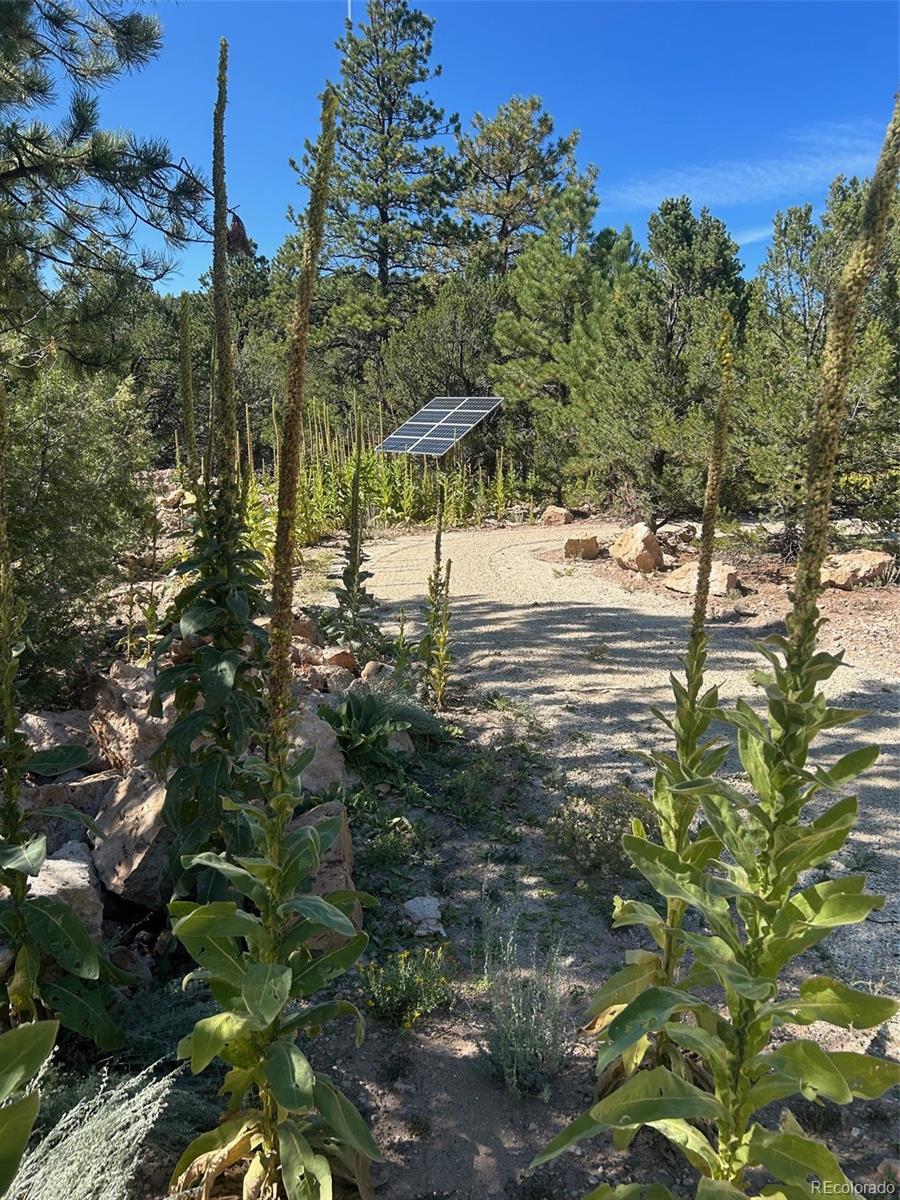 MLS Image #14 for 1380&1410  oak drive,westcliffe, Colorado