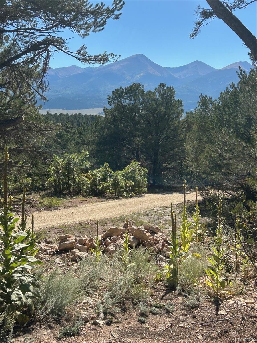 MLS Image #15 for 1380&1410  oak drive,westcliffe, Colorado