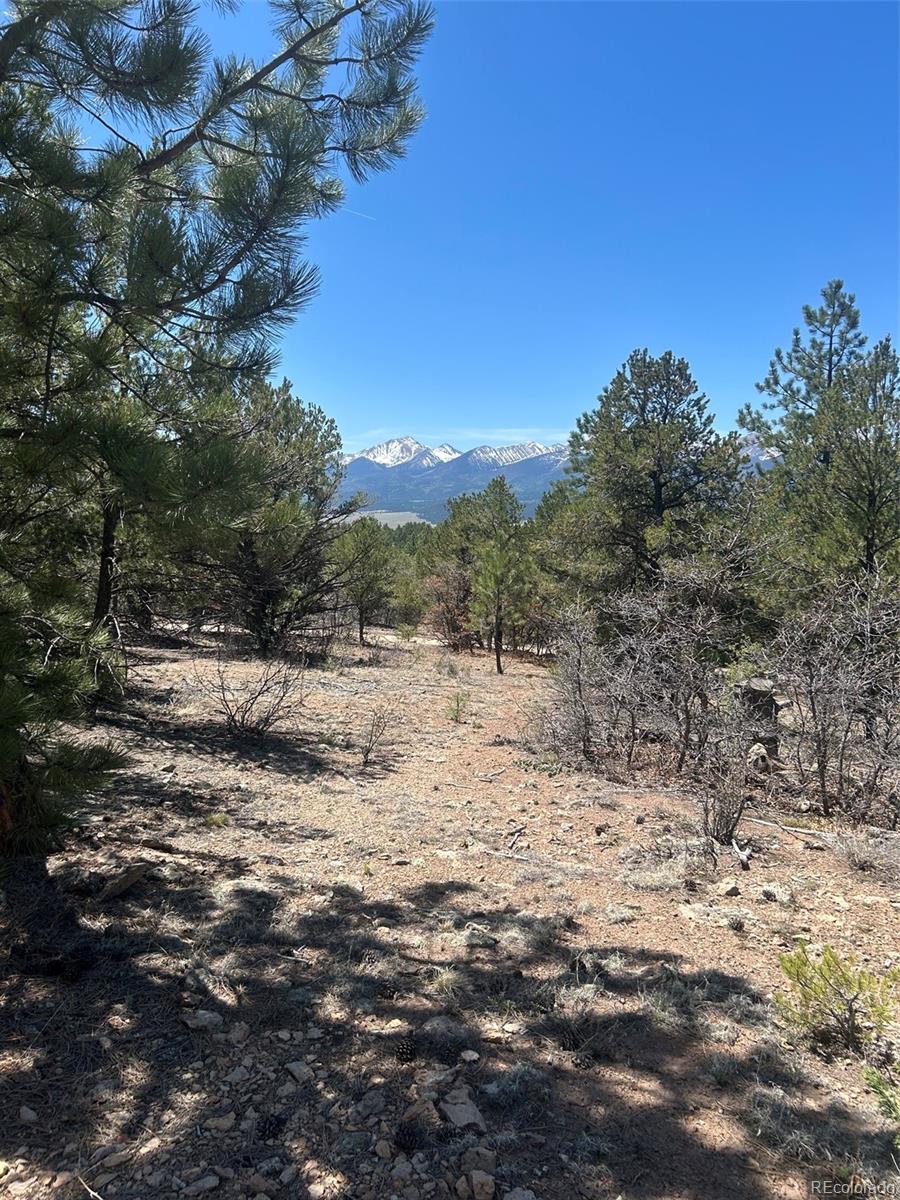 MLS Image #16 for 1380&1410  oak drive,westcliffe, Colorado