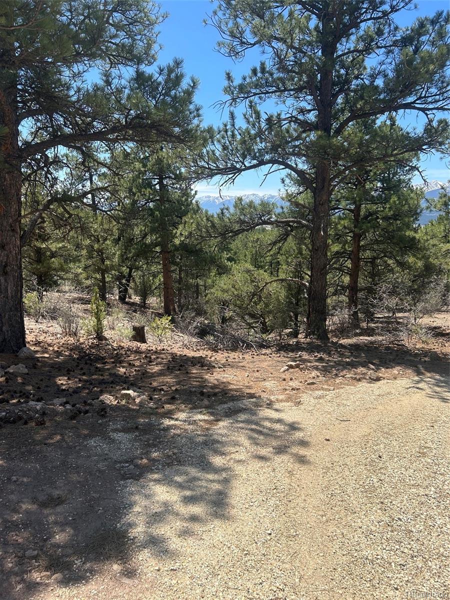 MLS Image #17 for 1380&1410  oak drive,westcliffe, Colorado