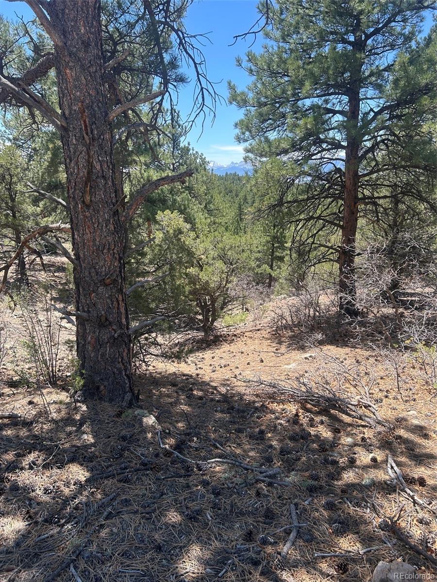 MLS Image #19 for 1380&1410  oak drive,westcliffe, Colorado