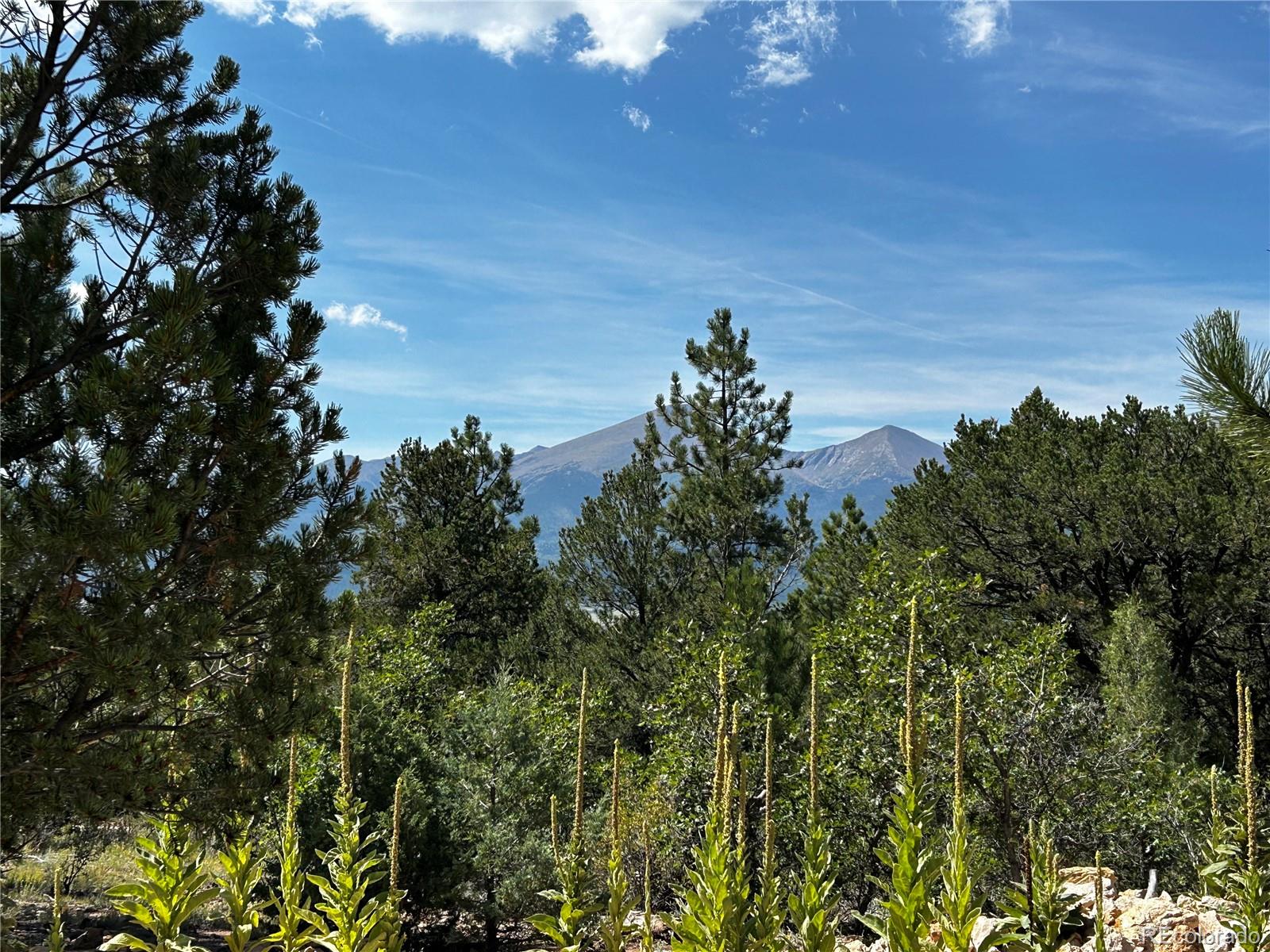 MLS Image #2 for 1380&1410  oak drive,westcliffe, Colorado