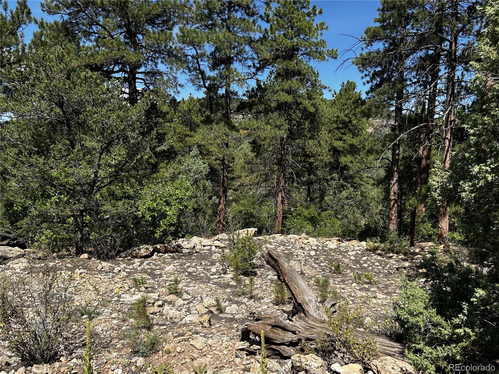 MLS Image #4 for 1380&1410  oak drive,westcliffe, Colorado