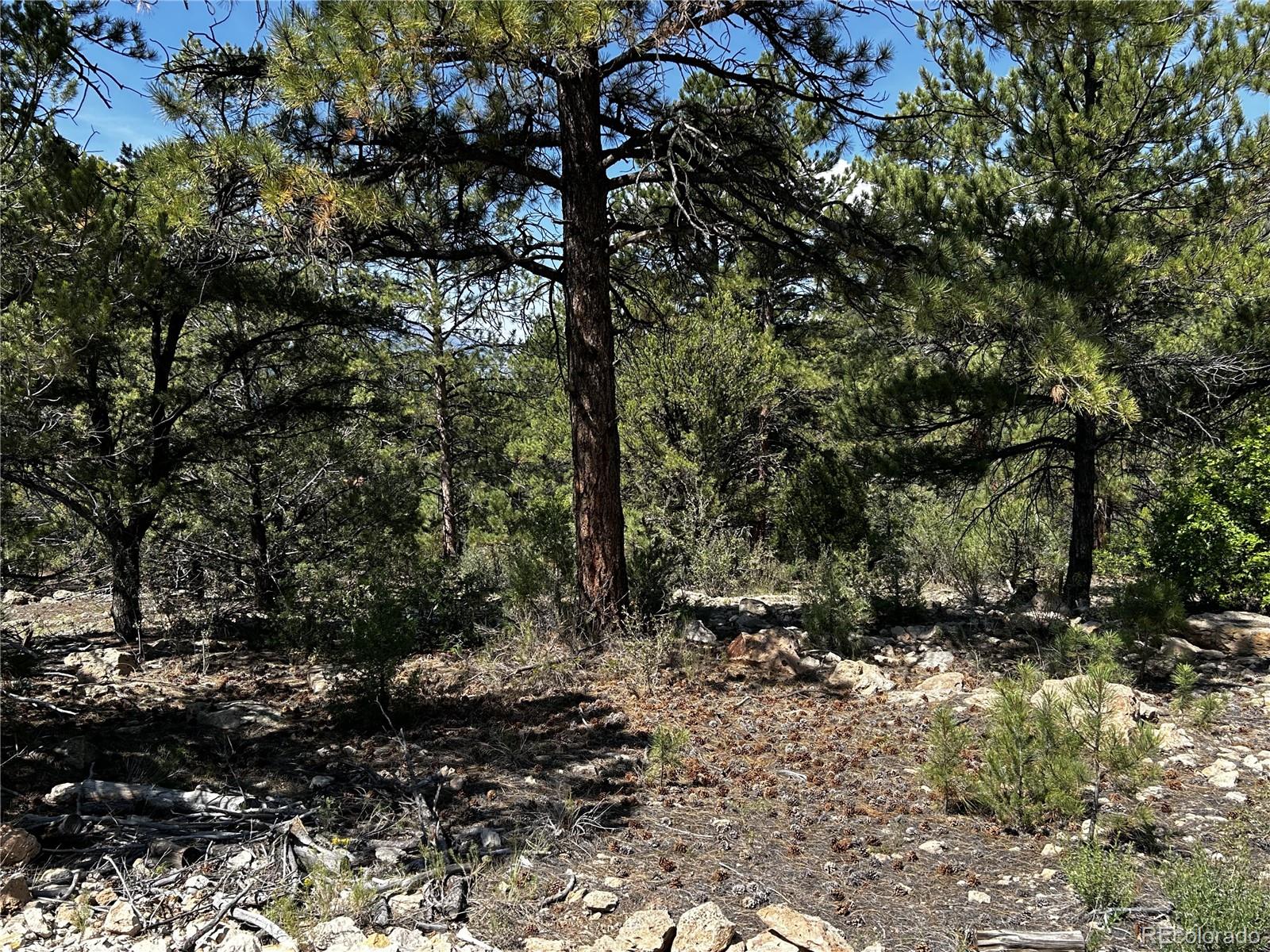 MLS Image #5 for 1380&1410  oak drive,westcliffe, Colorado