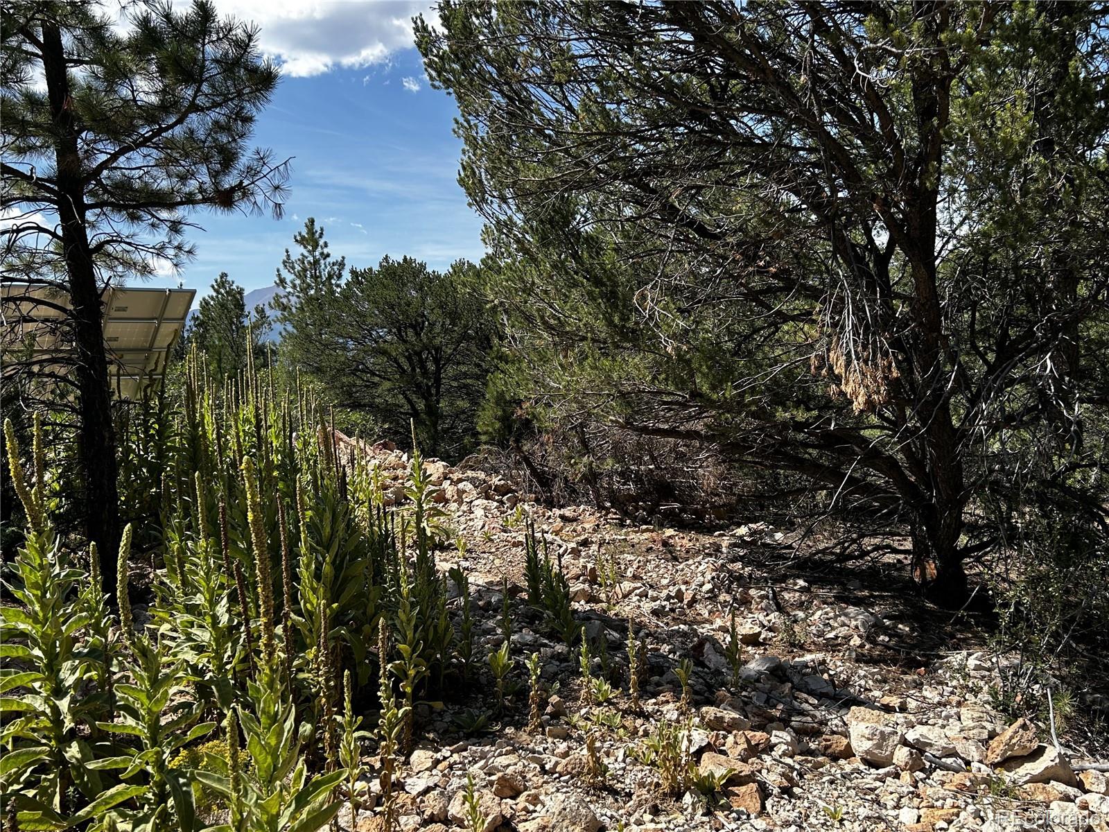 MLS Image #6 for 1380&1410  oak drive,westcliffe, Colorado